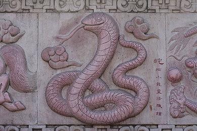 《宝可梦》发布会8月18日举行 公开新作情报与演示